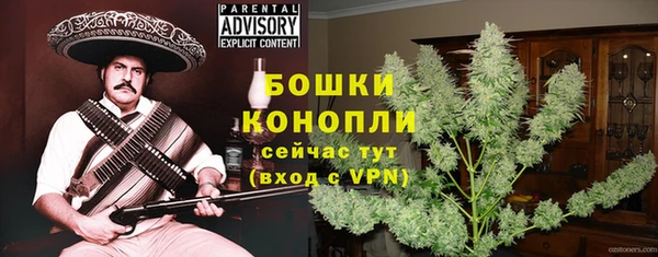 молекула духа Слюдянка