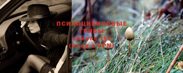 альфа пвп Верхнеуральск
