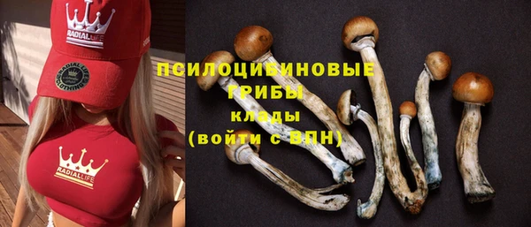 кокаин Верея