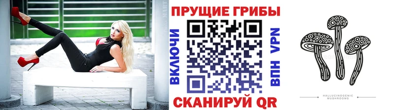 MEGA вход  Сорочинск  Галлюциногенные грибы ЛСД 